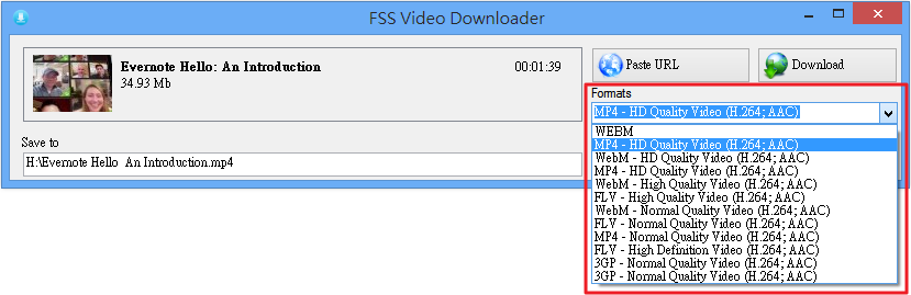 FSS Video Downloader - 選擇下載格式